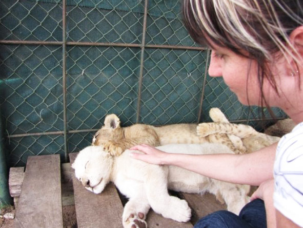 Christine Mischker - visiting lion cubs at a rehabilitation sanctuary